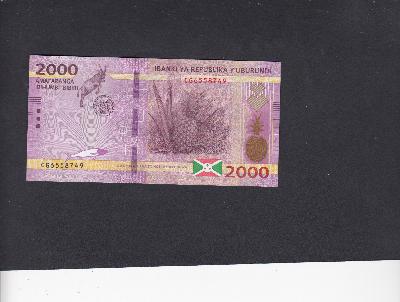 Beschrijving voorzijde: ANANAS